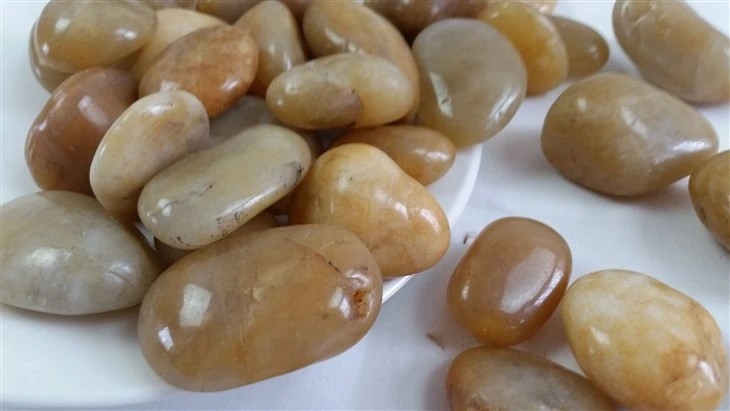 Pebble Stepping Stones price